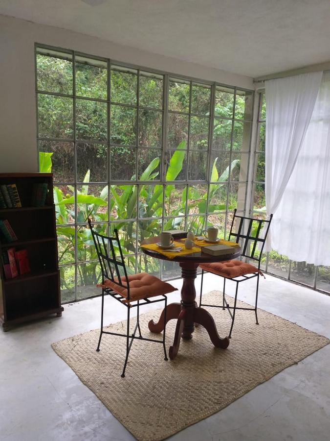 Hotel Casa Edward Xilitla Zewnętrze zdjęcie