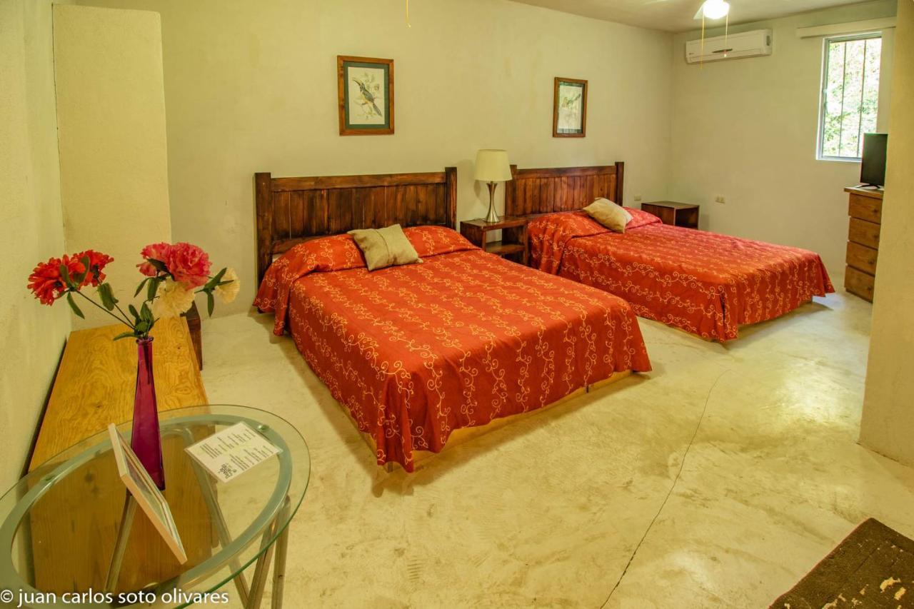 Hotel Casa Edward Xilitla Zewnętrze zdjęcie